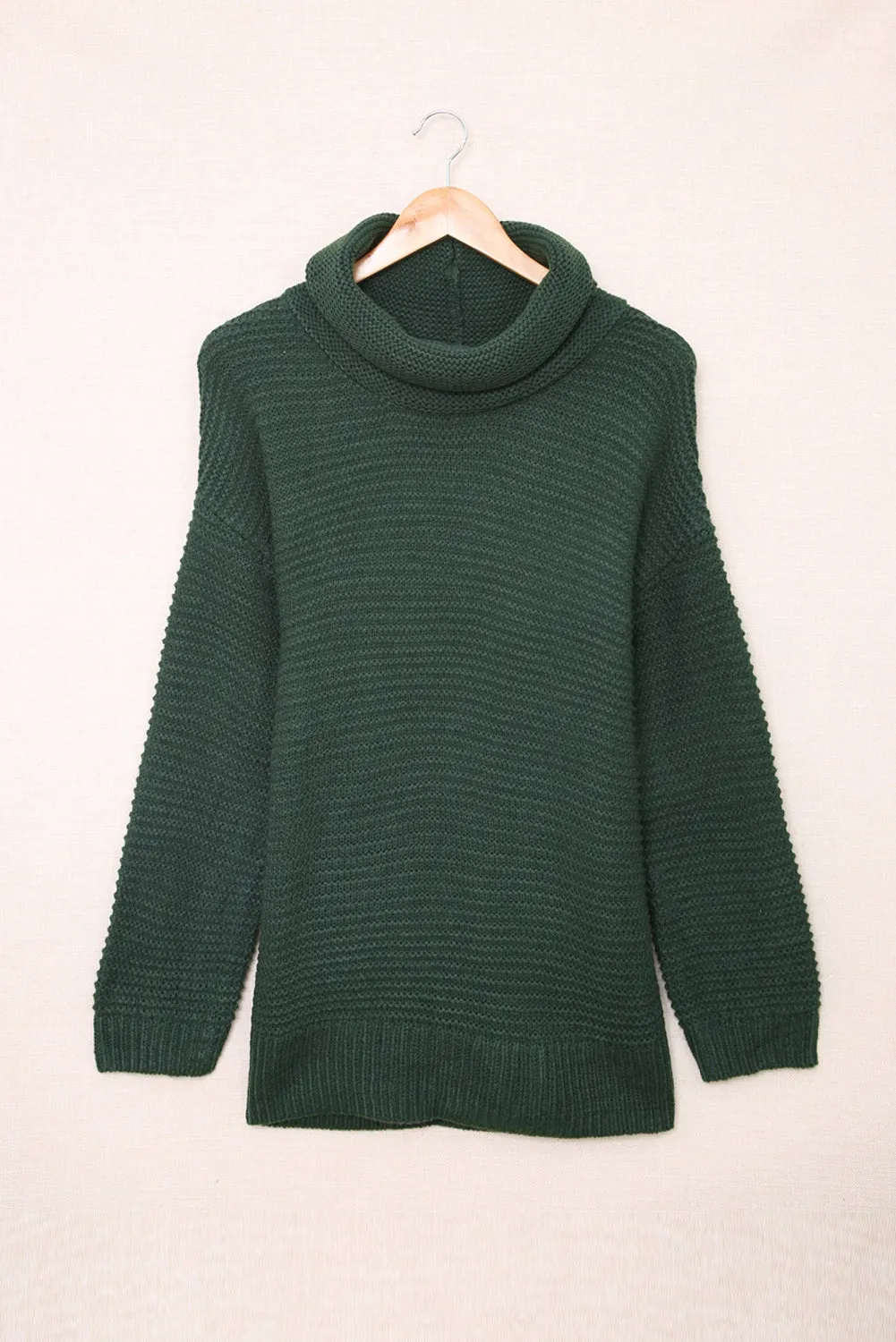 Cozy Long Sleeves Turtleneck Sweater