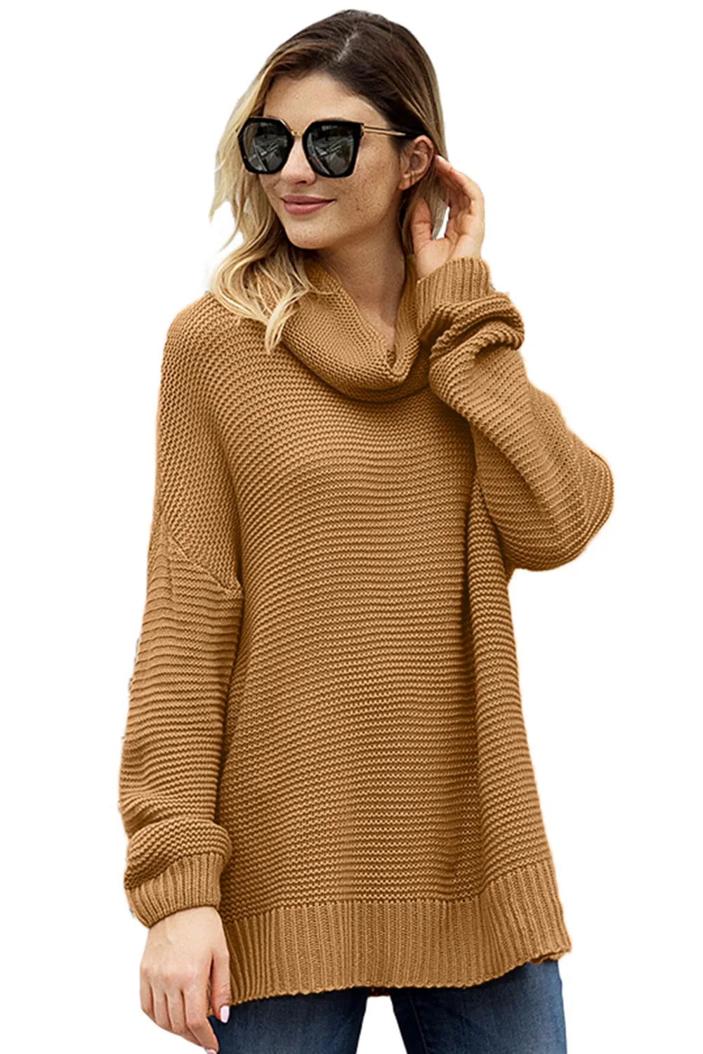 Cozy Long Sleeves Turtleneck Sweater